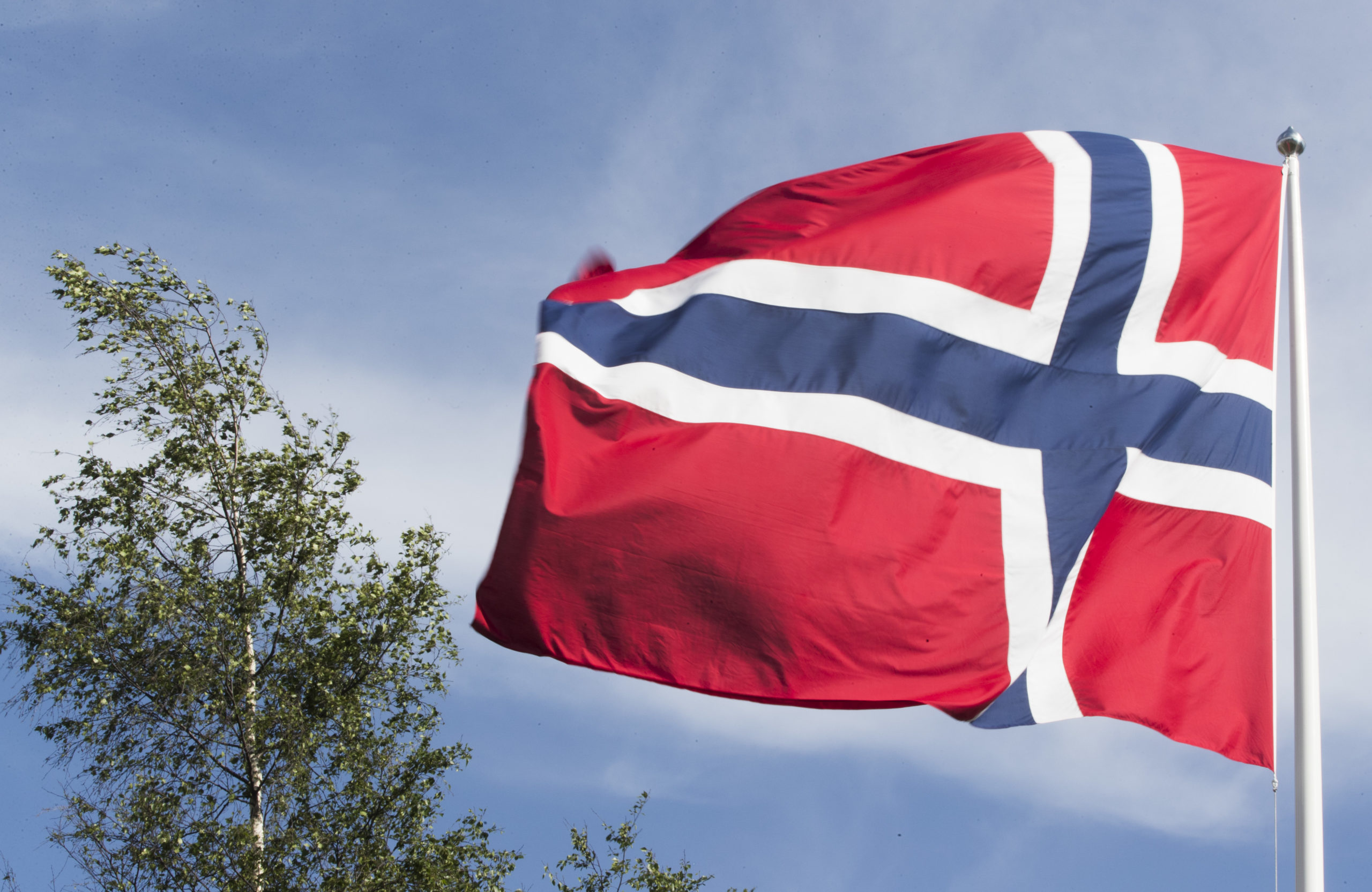 Norskfag  i  endring