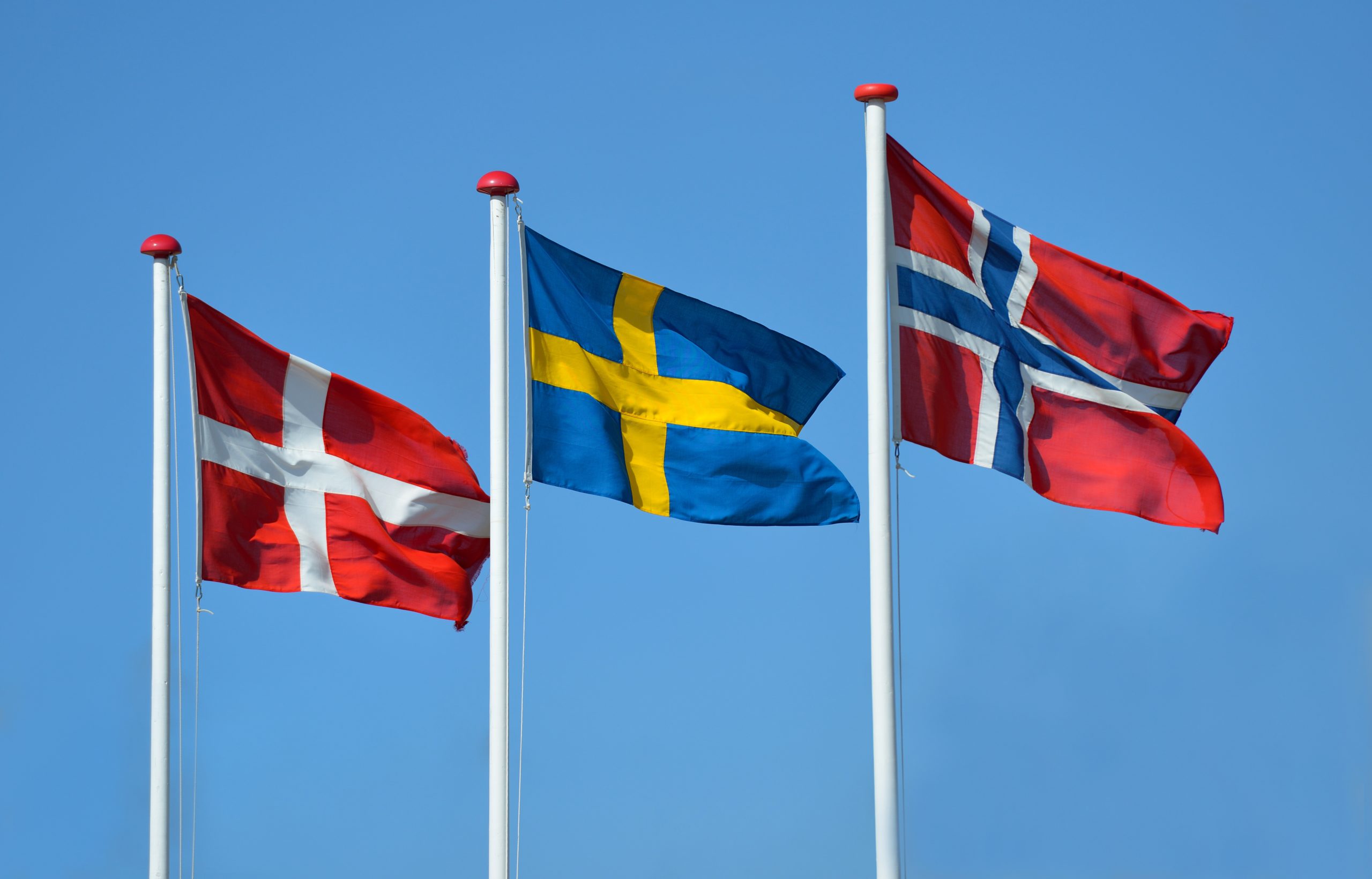 Skandinavane  og  nasjonalspråket