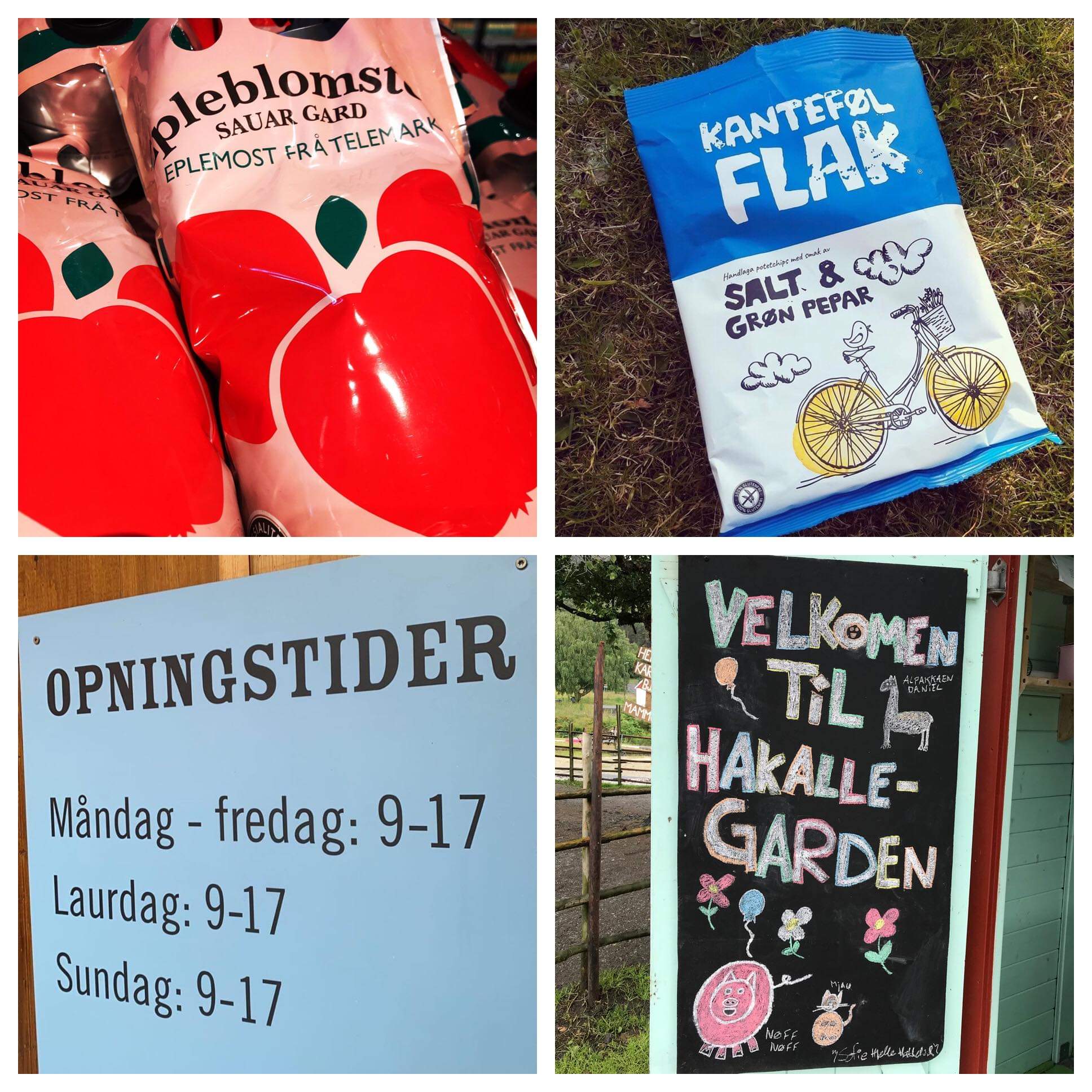 Kandidatar  til  Nynorsk  næringslivspris