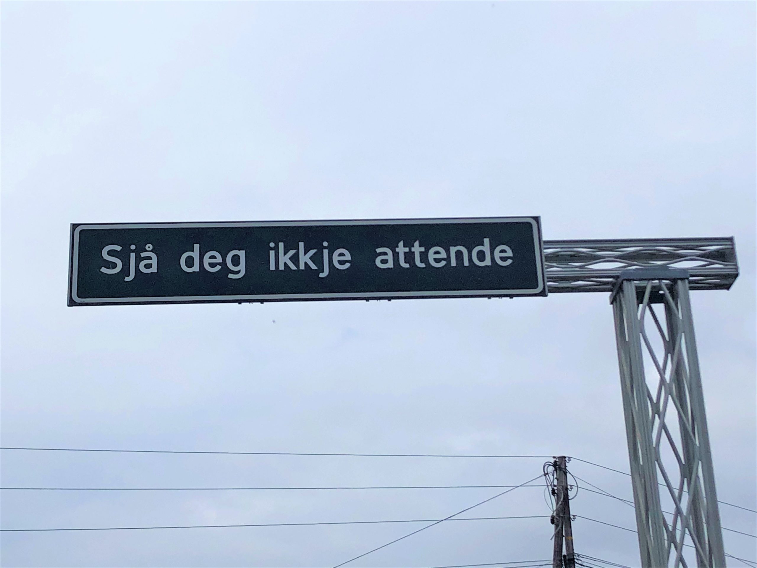 Kva  skal  Noregs  Mållag  arbeide  med  dei  neste  fire  åra?