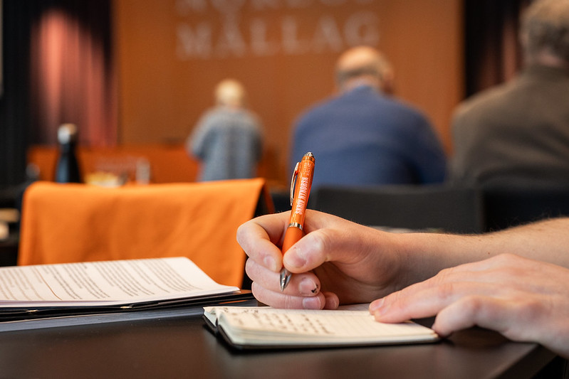 Arbeidsprogramarbeid_2. Korleis  arbeide  for  meir  nynorsk?