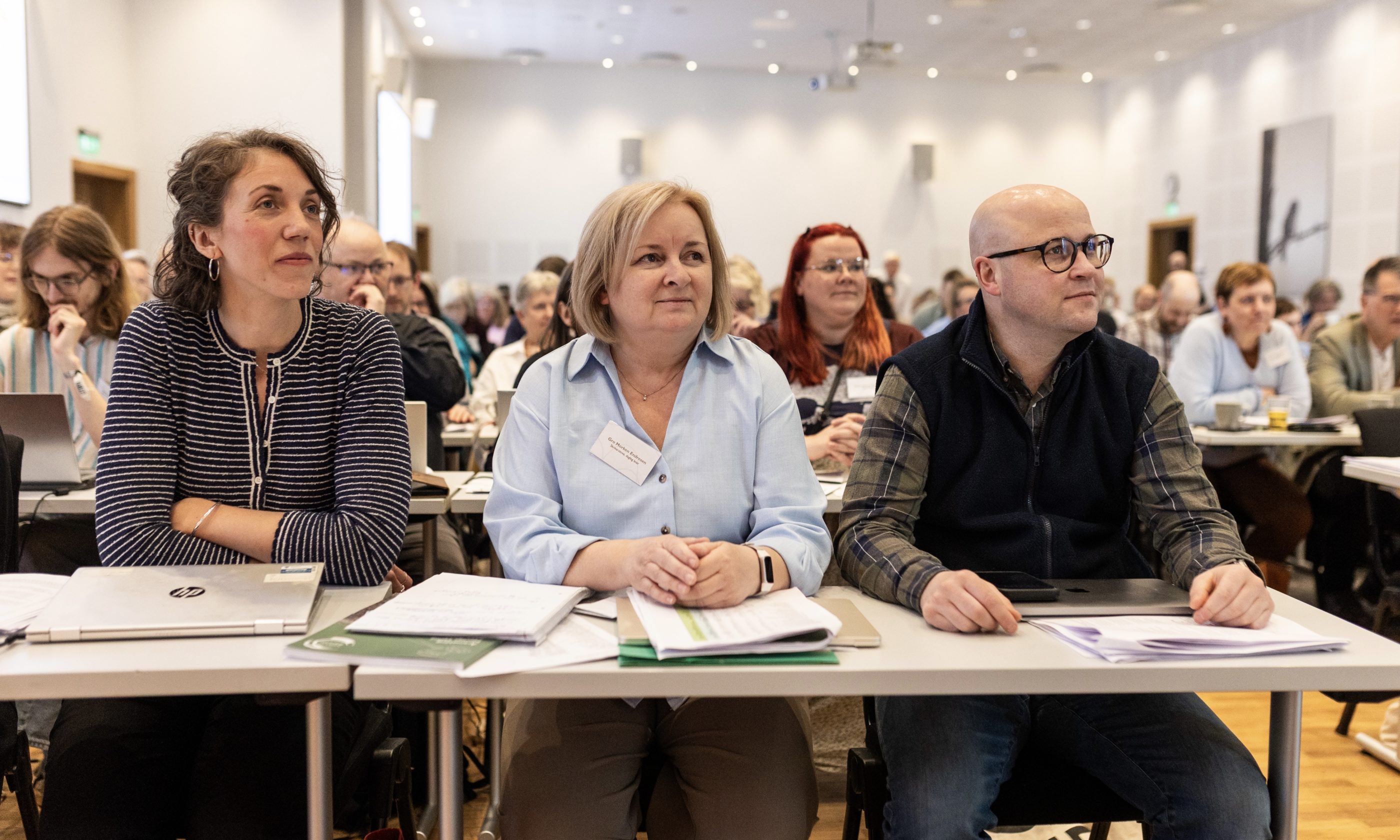 Lat  Språkrådet  vera  Språkrådet