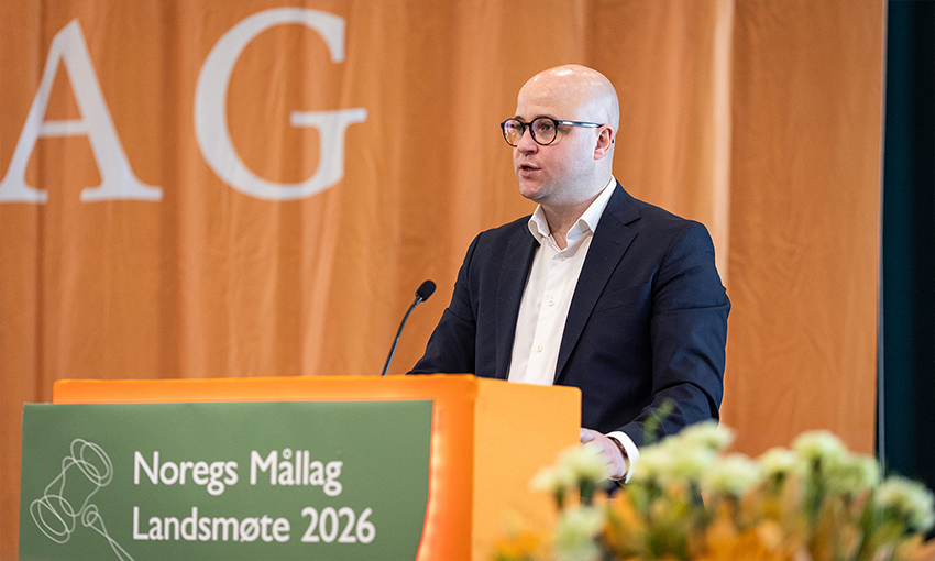 Språklova  må  få  sanksjonar